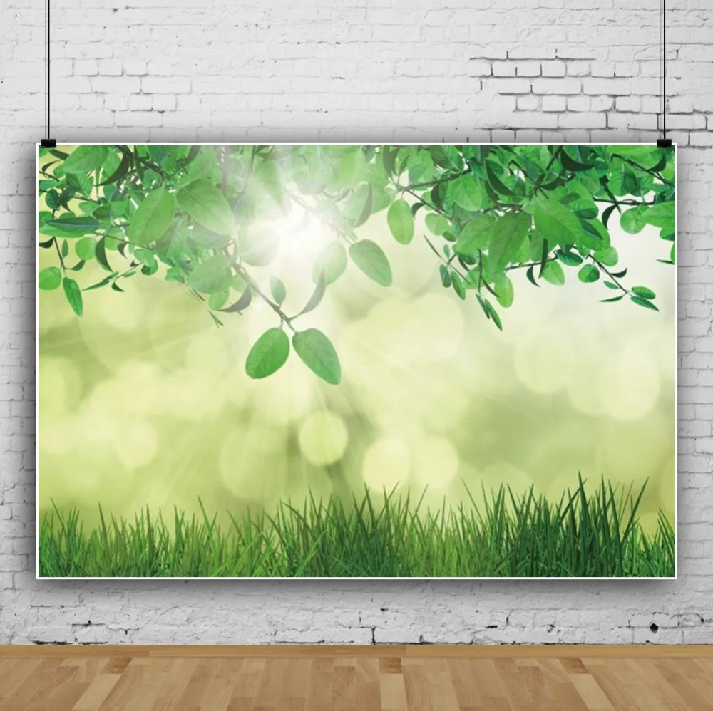 Laeacco Spring Green Leaves Grass Light Bokeh Baby Natural Scene Photographic Backgrounds Photography Backdrops For Photo Studio Laeacco Spring Green Leaves Grass Light Bokeh Baby Natural Scene Photographic Backgrounds Photography Backdrops For Photo Studio