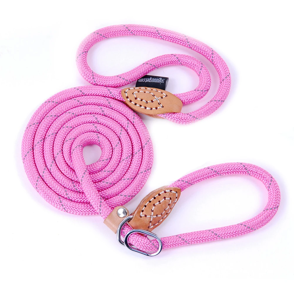 Pet Products Dog Leash Nylon Reflective Puppy Dog Leash Rope Cat Chihuahua Pet Leash And Collar Set Cat Dog Leashes Lead Harness (22)
