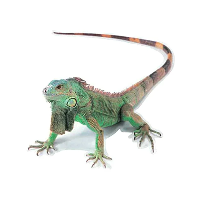 3D PVC Car Sticker Lizard Scorpion Spider Car Body Window Sticker Decal Car Styling Lizard