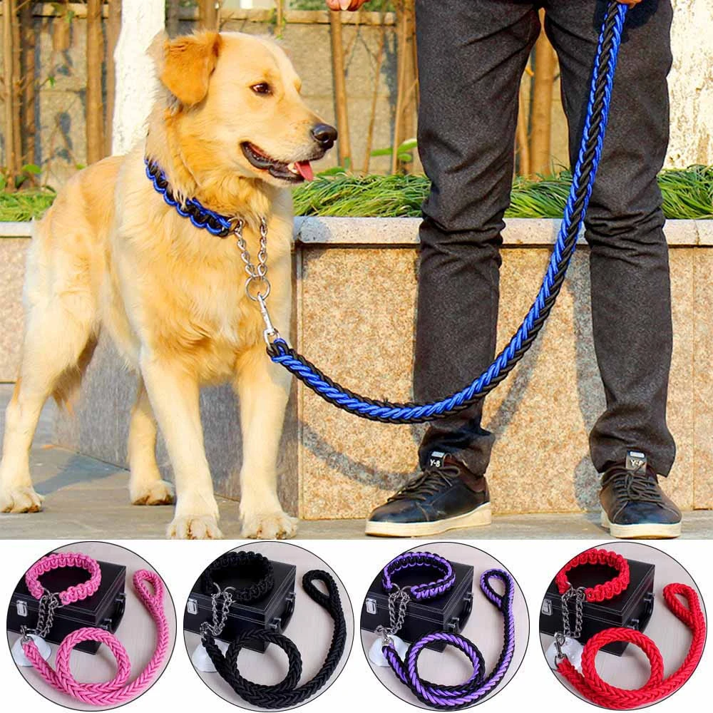 puppy leash and collar set