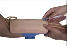 Forearm venipuncture jacket model (only) training and practice the model of arm injection and blood extraction puncture lobule and alveolus of lung model lobule moedl and alveolus model