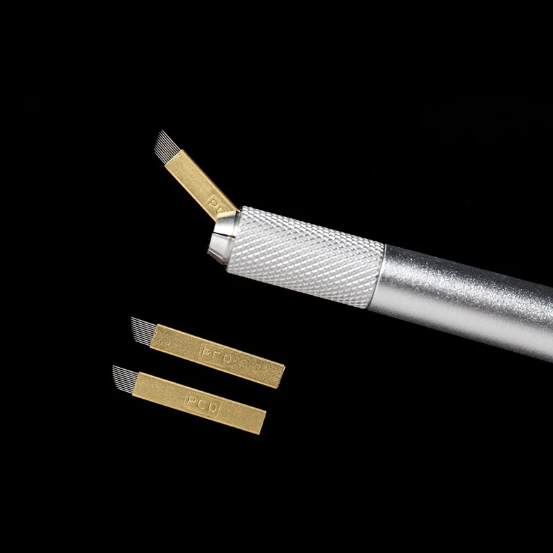 4066884952_1704171663 