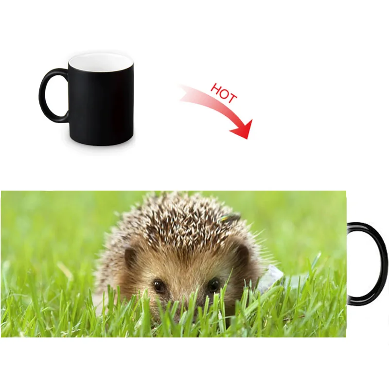 Волшебная кружка hedgehog меняющая цвет чая керамическая под заказ кофейные
