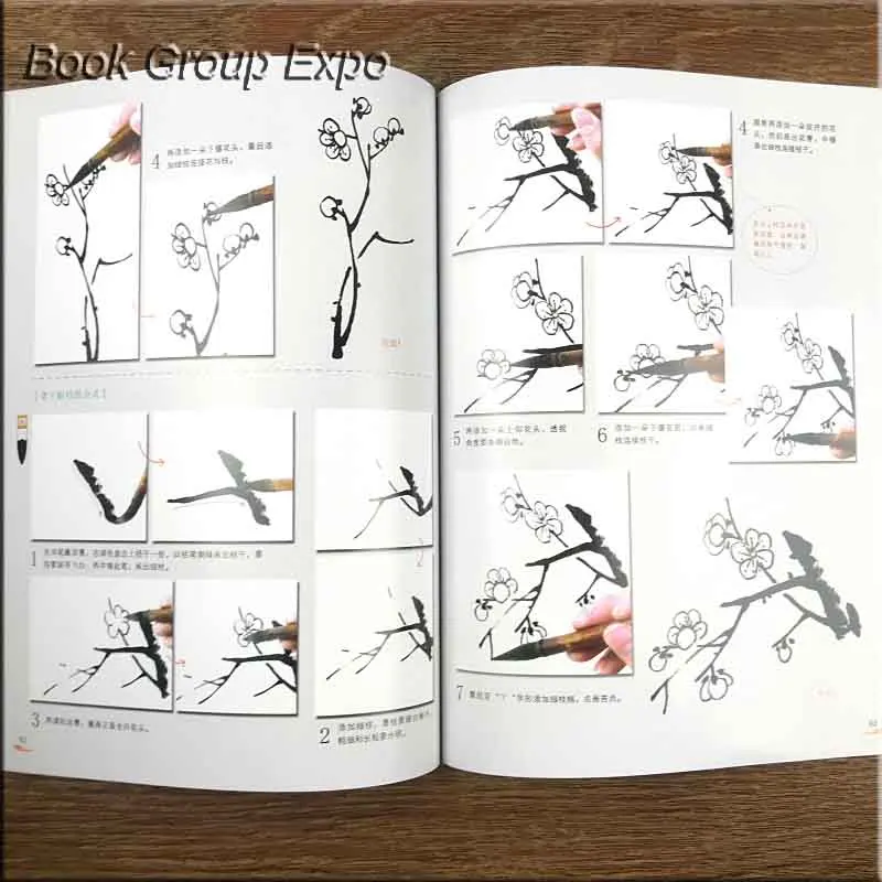 Китайские чернила для кистей художественная живопись Sumi-e техника самообучения Рисование книга сливы, кисть Freehand учебник книги