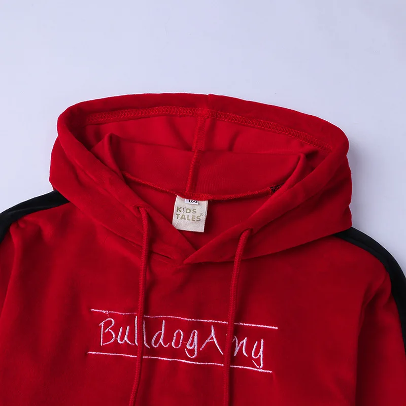 2019 Autumn Girls Clothing Sets Winter Children Gold Velvet Tracksuit Fashion Hooded Sweatshirt And Pant Suit Kids Clothes Set (4)