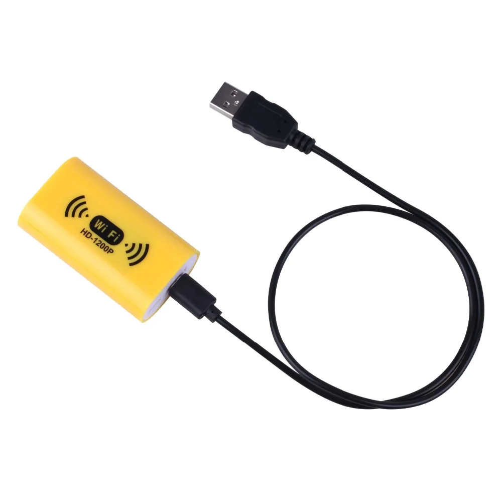 21-endoscope