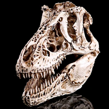 

Statues Africa Home Decor Skull For Decoration Resin Animal Skull Skeleton Abstract Sculptures Carving Dinosaurs Fossil Statue