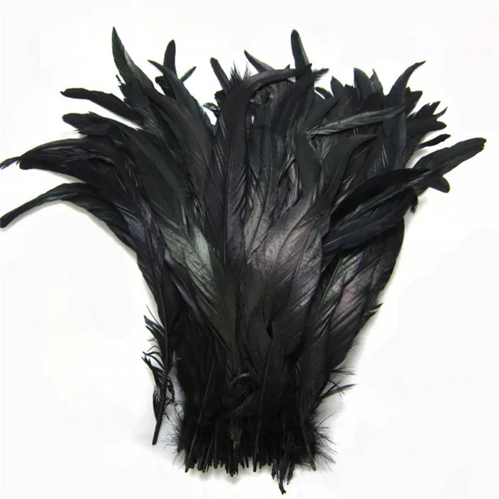 2 Black rooster tail feathers