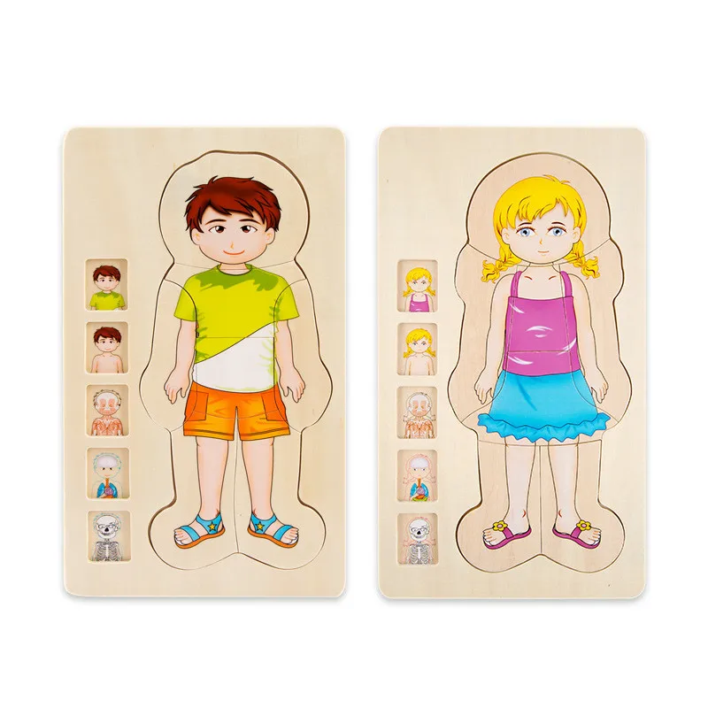 

Multi-Layer Wooden Human Body Puzzles Structure Toys Children Early Learning Educational Body Cognition Baby Toys Puzzles
