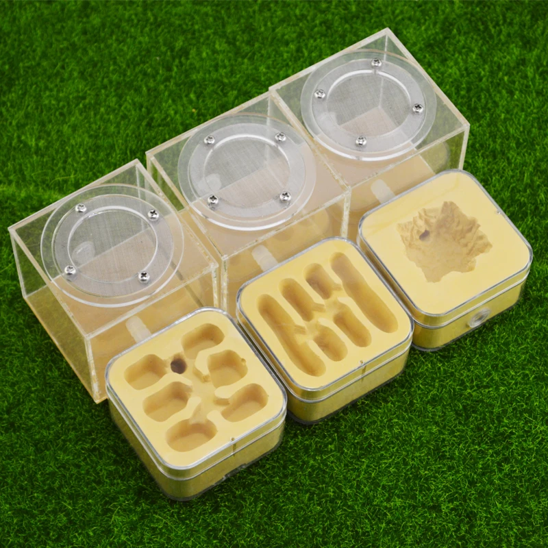 

1PCS imitation eco nest upgrade Q version of the high portfolio nest Ant breeding workshop Ant nest