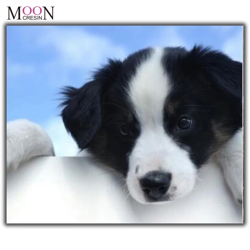 

MOONCRESIN Diamond Painting Cross Stitch Black White Dog Diy Diamond Embroidery Square & Round Diamond Mosaic Decoration Animals