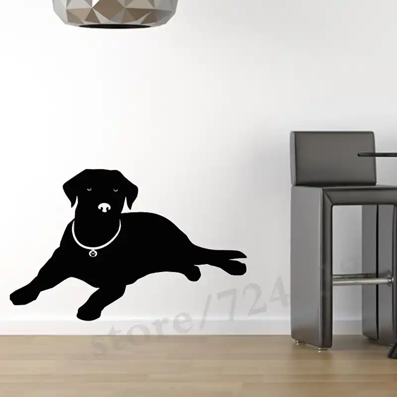 Стен дог. Home dog art. Прикольные рисунки на стену. Обои с собачками на стену. Стен дог.