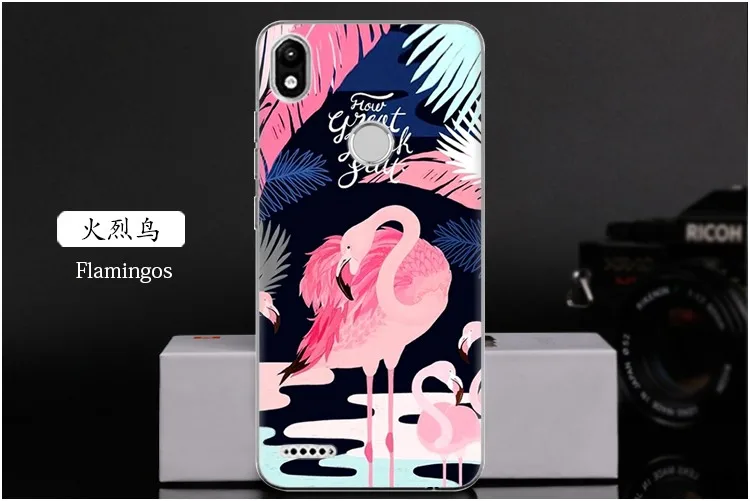  Flamingos