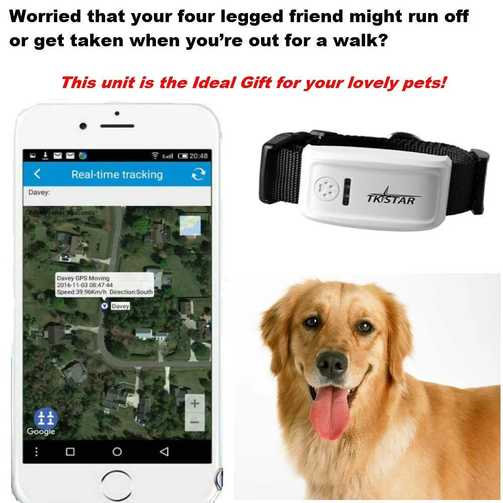GPS трекер для домашних животных GSM/GPRS GPS|GPS трекеры| |