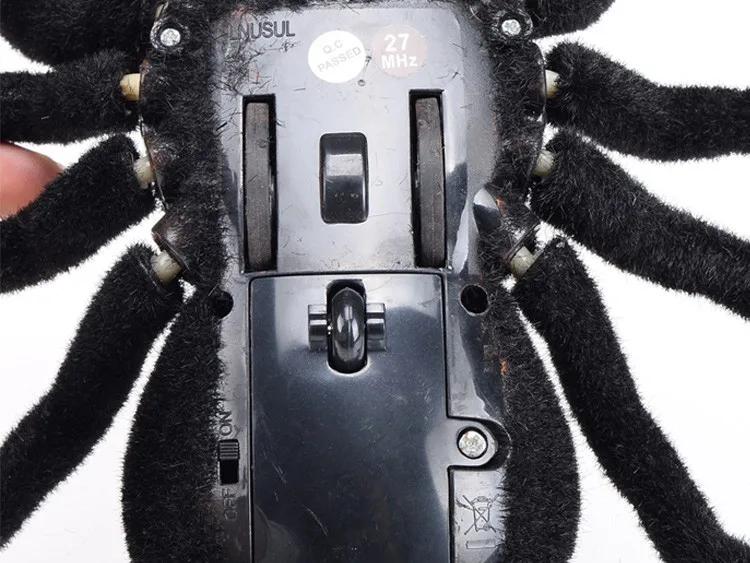 XYG-Spider-781_07