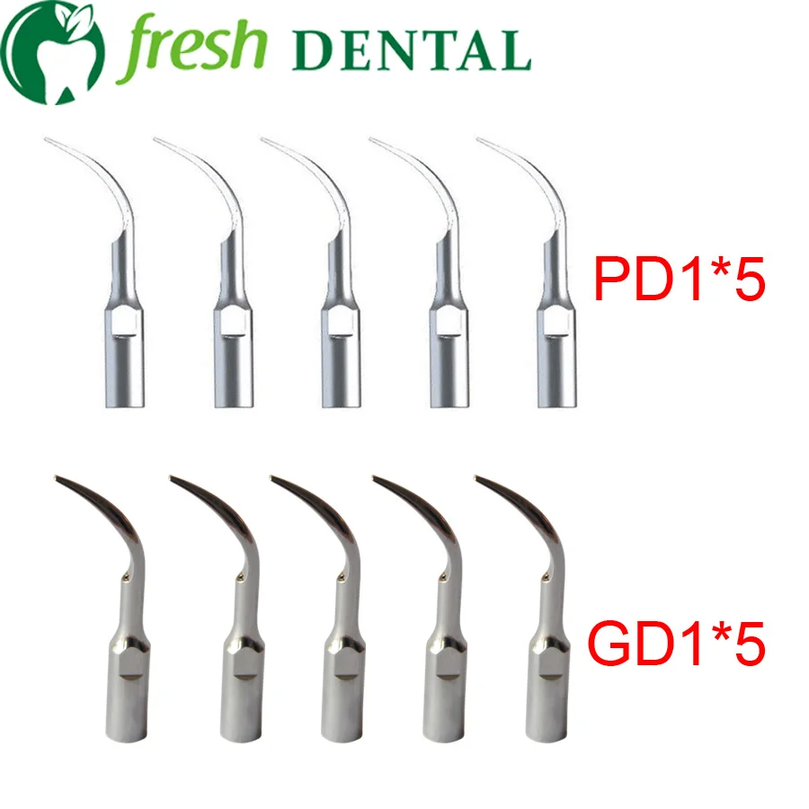 Buy 10PCS Dental Supragingival Scaling Ultrasonic