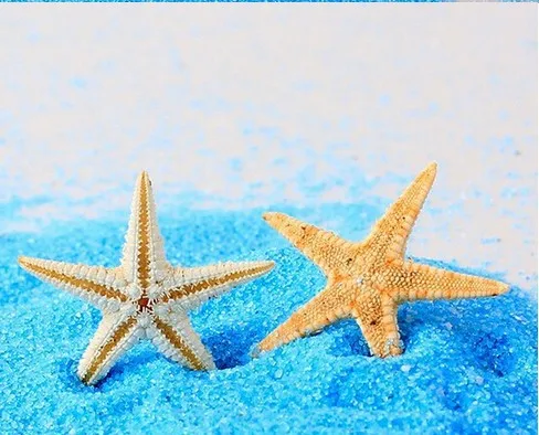 HTB1tKdqJpXXXXXZXXXXq6xXFXXXu.jpg?size=66121&height=394&width=488&hash=59fb8d8108146fc26d6c7499893833b4