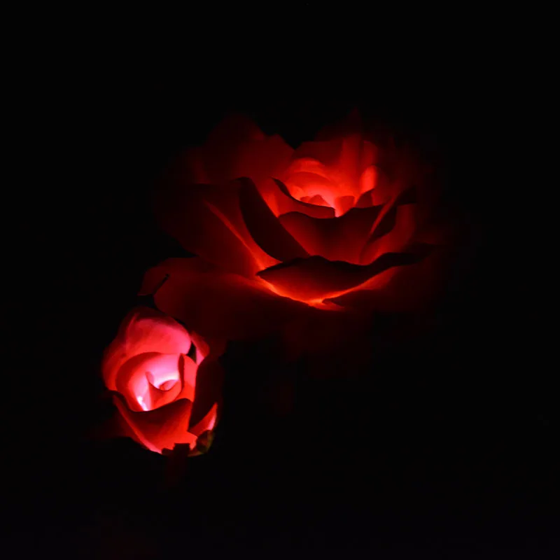 DSC_0306