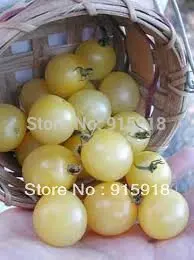 TOMATO - WHITE CHERRY 200 SEEDS |