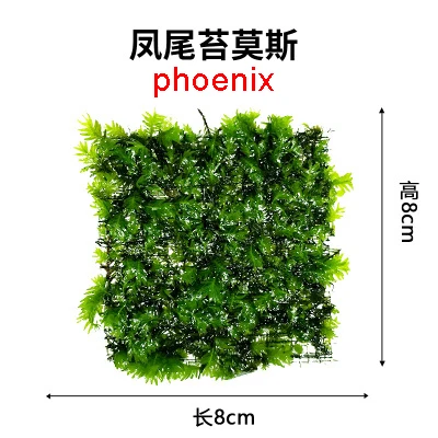 

Free Shipping Alive Aquascape Moss Aquascape fish tank aquarium plants Moss set 8X8 CM aquarium plants decoration
