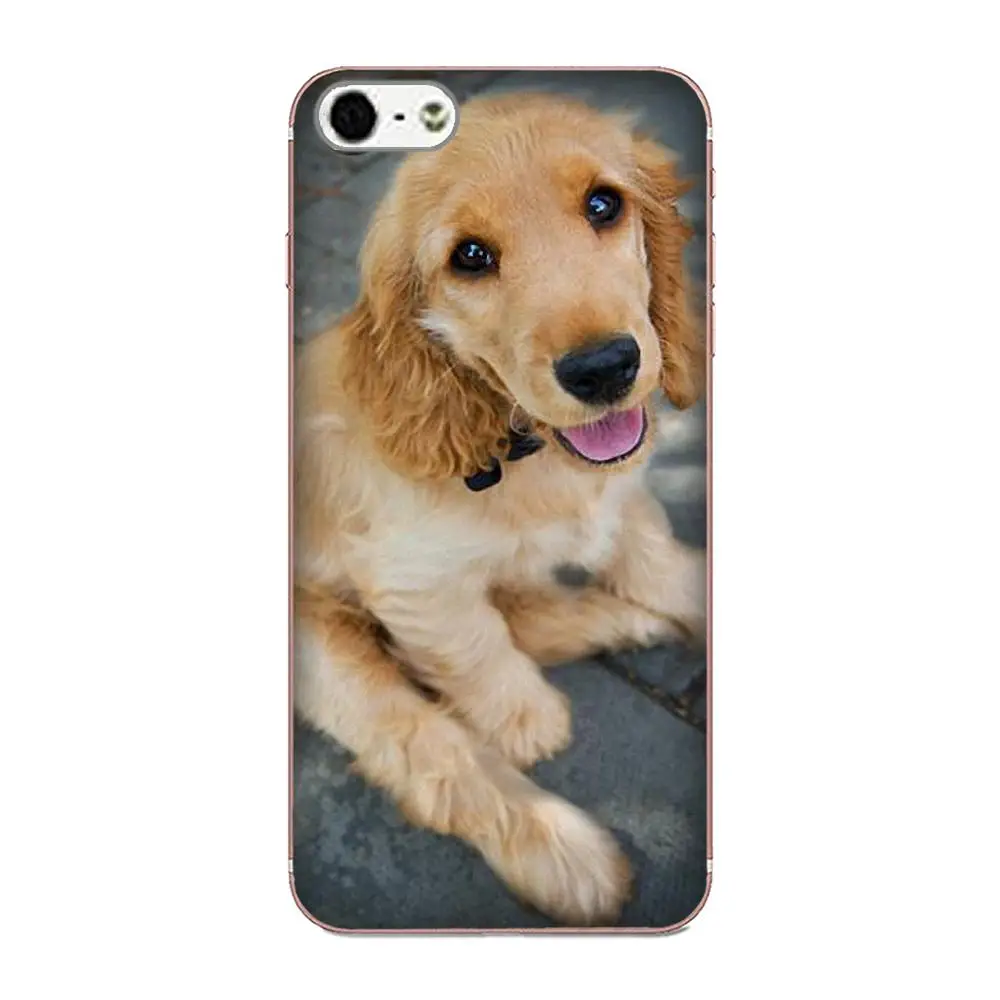 Милый чехол из ТПУ для Galaxy J1 J2 J3 J330 J4 J5 J6 J7 J730 J8 2015 2016 2017 2018 mini Pro Cocker Spaniels мягкие