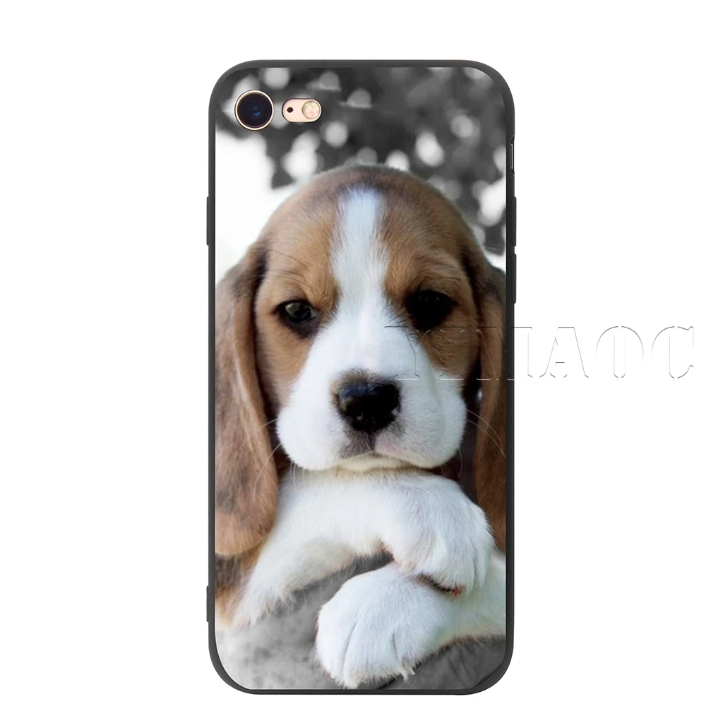 Силиконовый мягкий чехол YIMAOC Beagle Dog Для iPhone 11 Pro XS Max XR X 8 7 6 6S Plus 5 5S SE - Цвет: 1