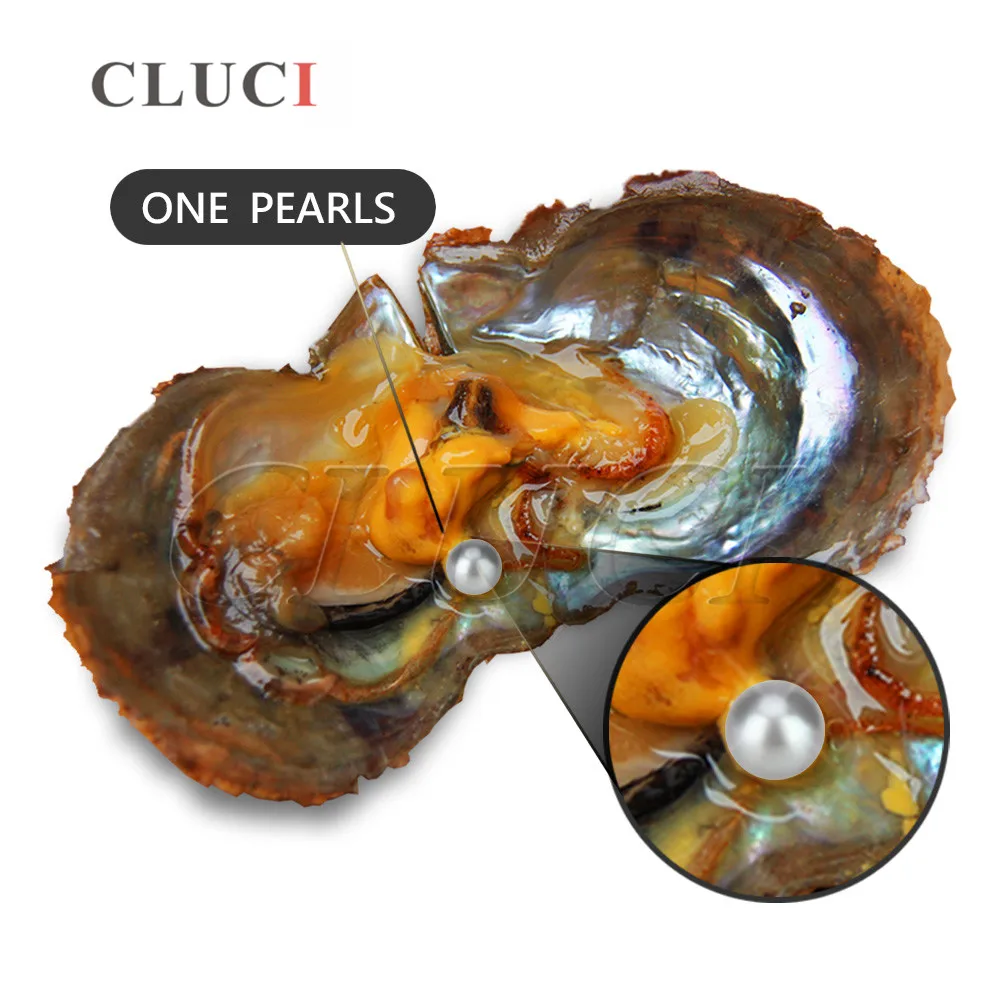 WP063BB-2-pearl-jewelry