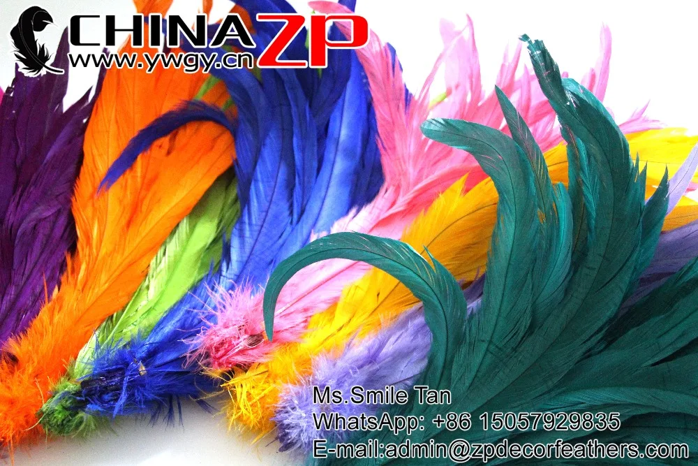 Fully dye rooster tail feathers wholesale (9)