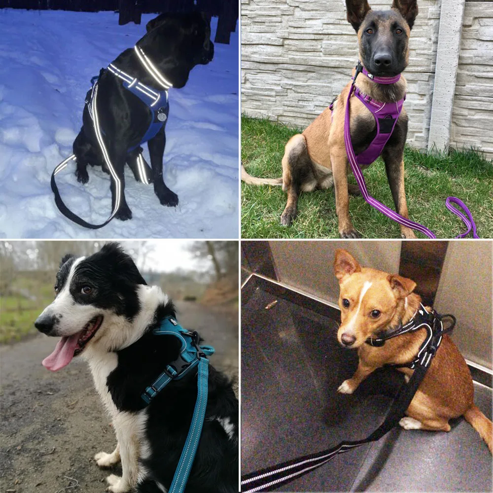 Truelove No Pull Dog Harness And Leash Set Front Fronge Reflective Soft Padded Chihuahua Vest Harness Leash For Dog Dropshipping (10)