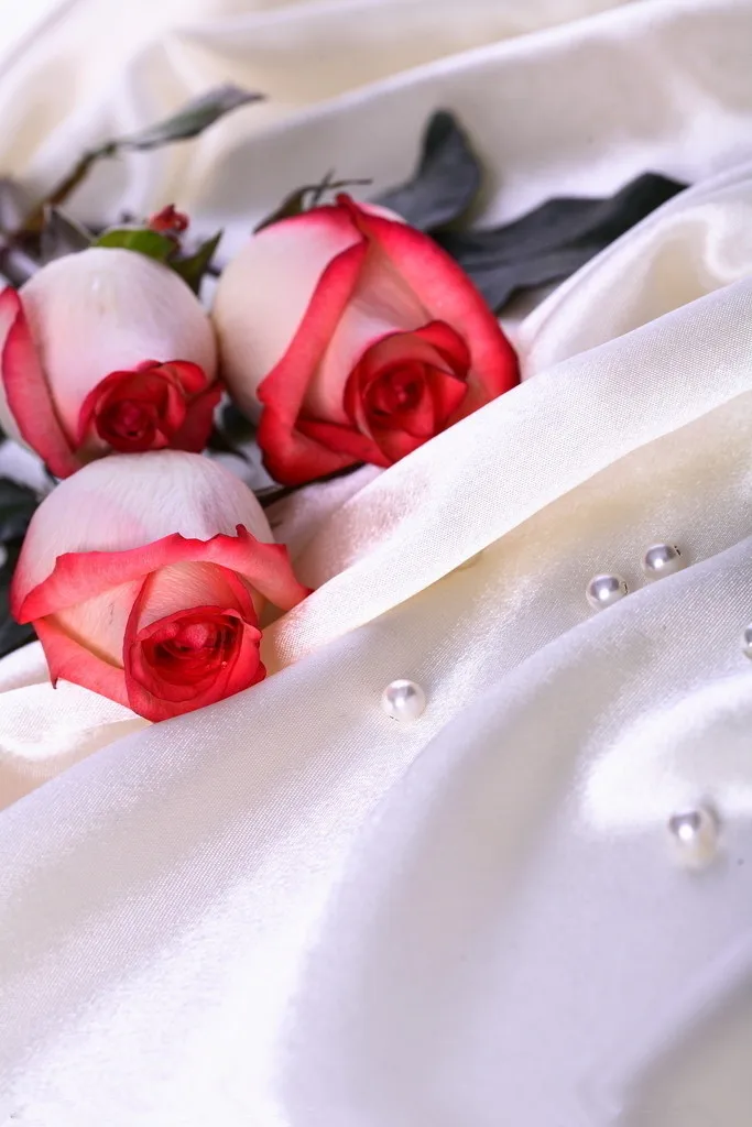 

6x9ft Valentine's day theme Photography Backdrops Vinyl Prop Photo Studio Background QRL243