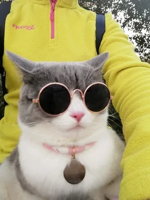 O1CN01IF9T221jfquIyNZ5Q_!!0-rate.jpg_400x400