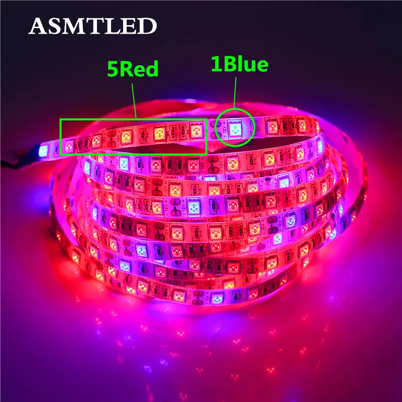 5M Led Plant Grow Strip Light SMD 5050 Red & Blue Greenhouse Hydroponic Lamp 12V 