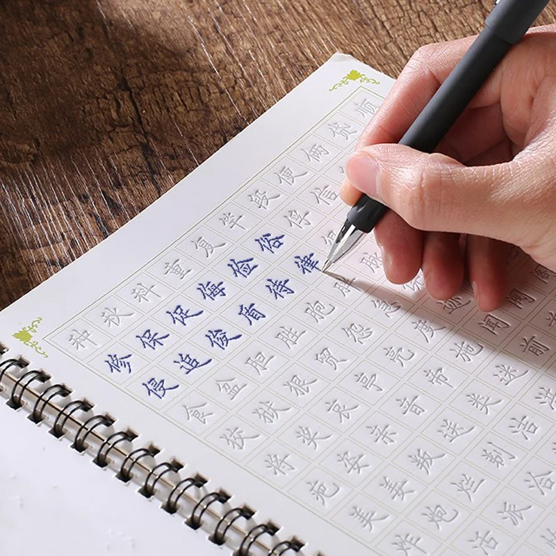 3D Chinese Characters Reusable Groove Calligraphy Copybook Erasable pen Learn hanzi Adults Art writing books