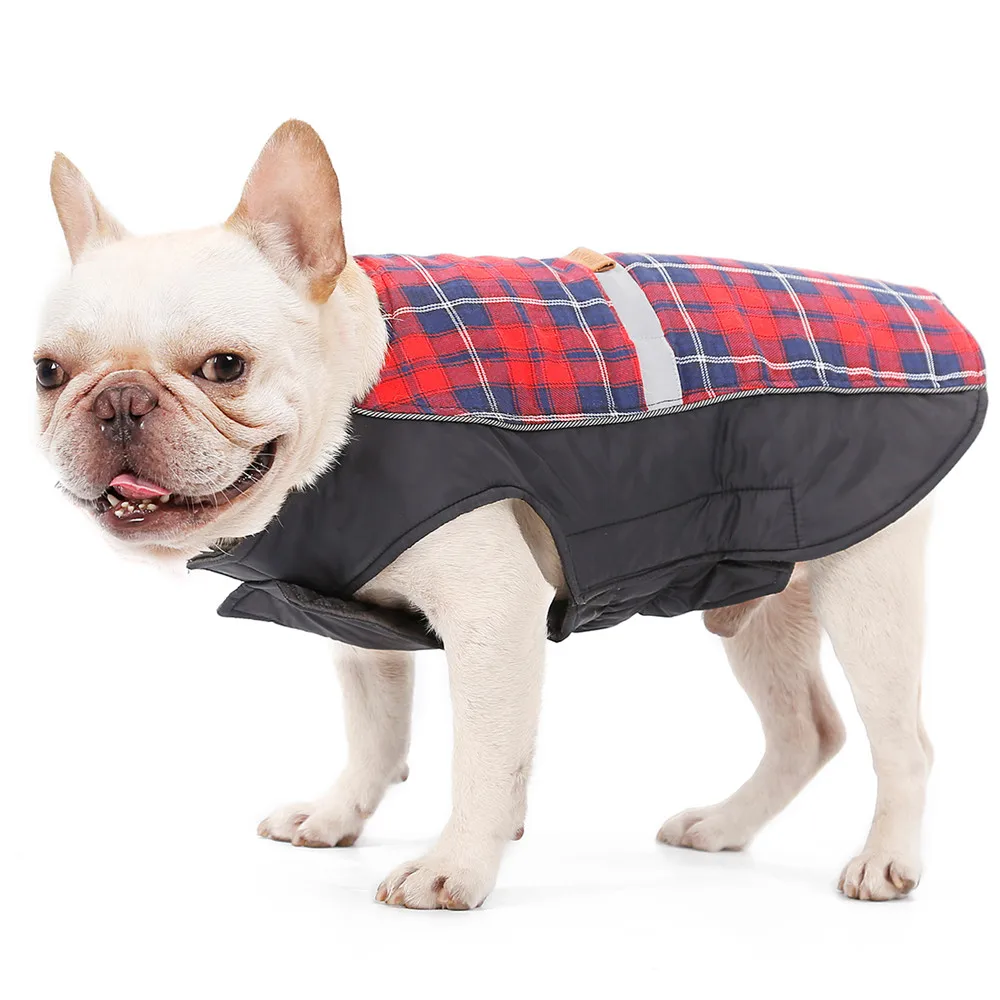 Dog Clothing (4)