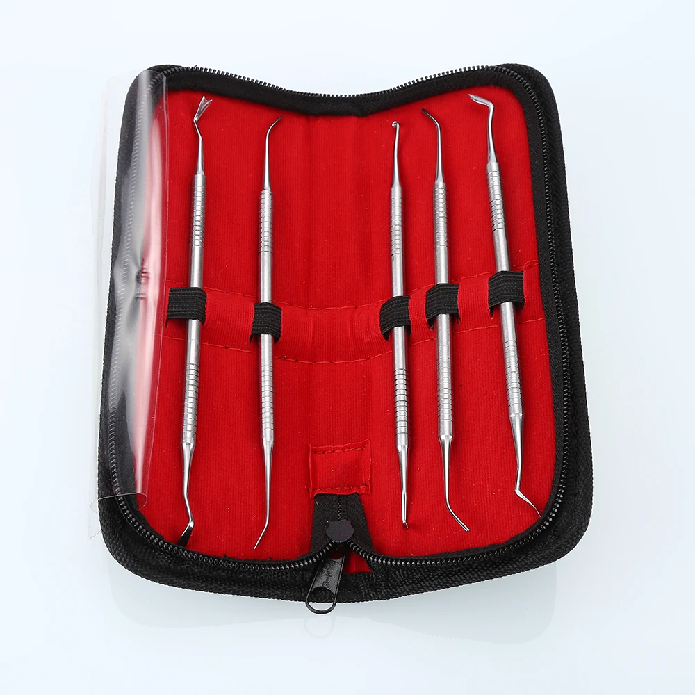 

New 5 PCS Dental Tooth Pick Probe Set Dental Composite Kit For Making Molds Hygiene Tools High Quality With Bag BFWY