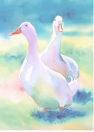 QQ20170321160449