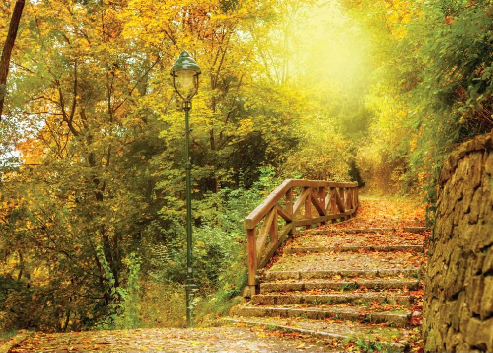 

SHANNY Vinyl Backdrops for Photography Scenery Autumn Wooden bridge theme Photo Studio Background A19301-26