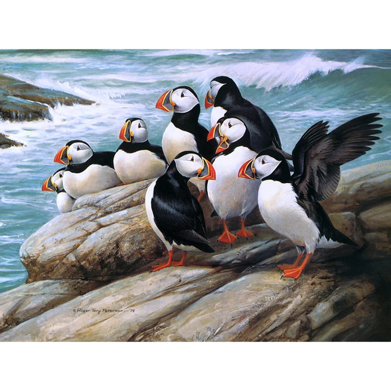 

Full square diamond 5D DIY diamond embroidered puffin diamond painting cross stitch rhinestone mosaic decoration gift YY