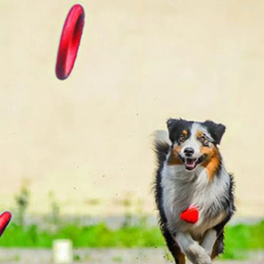 الكلب إيفا تحلق أقراص الحيوانات الأليفة التدريب حلقة التفاعلية التدريب دمية على شكل كلب المحمولة في الهواء الطلق كبيرة دمية على شكل كلب s الح... الكلب إيفا تحلق أقراص الحيوانات الأليفة التدريب حلقة التفاعلية التدريب دمية على شكل كلب المحمولة في الهواء الطلق كبيرة دمية على شكل كلب s الح...