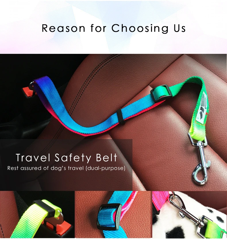 7 dog body belt