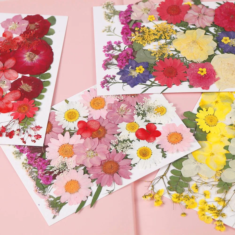 

Dried Flower Material Package Embossed Flower Embossed Diy Pressed Flower Bookmark Epoxy Dried Flower Mobile Phone Shell Embosse