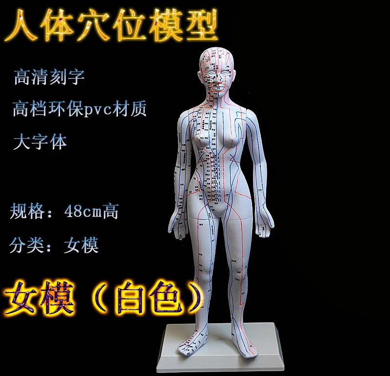 Человек китайско-английский тело Акупунктура точка модель Меридиан модель акупунктуры точек 26 см/48 см/50 см для мужчин и женщин