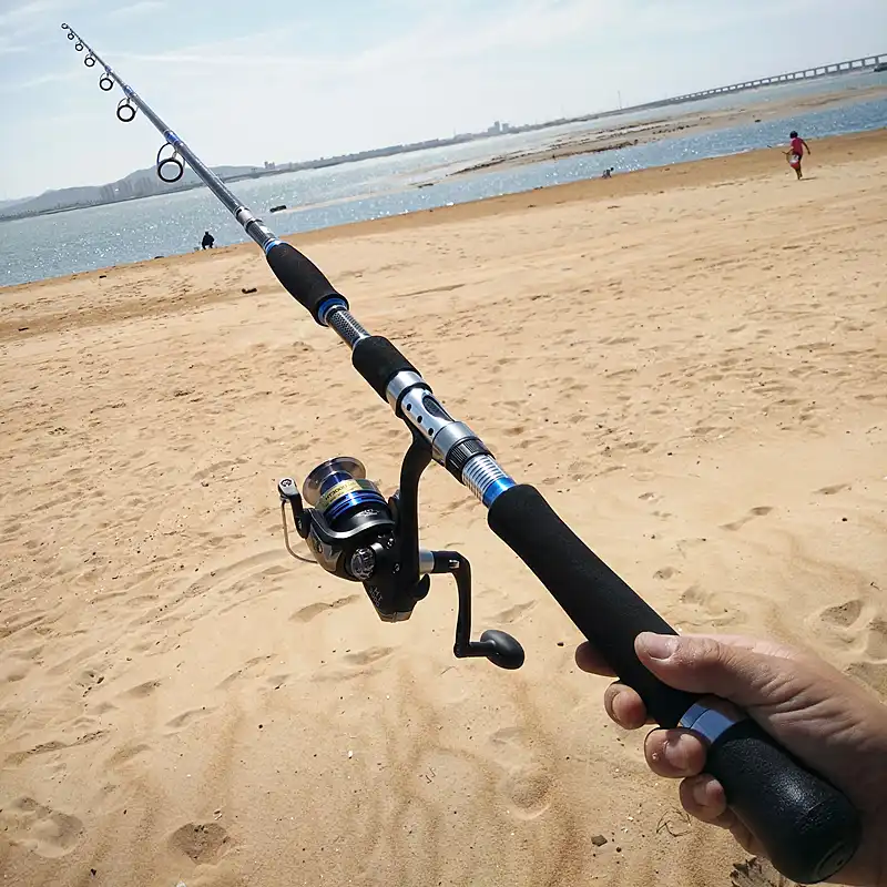 ocean fishing pole