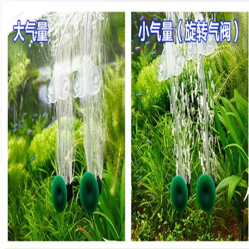 conew_4