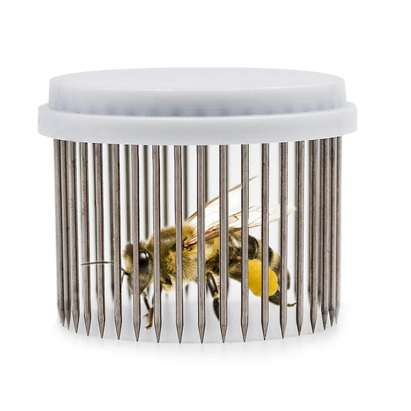 Queen Bee Cage Catcher Clip Beekeeping Tool Equipment Stainless Steel SG