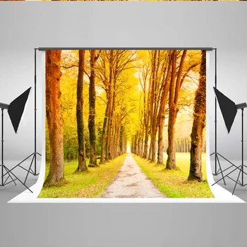 

VinylBDS Scenic Backdrops for Photography Vintage Yellow Forest Leaves Photography Backdrops Road Photo Studio Backgrounds