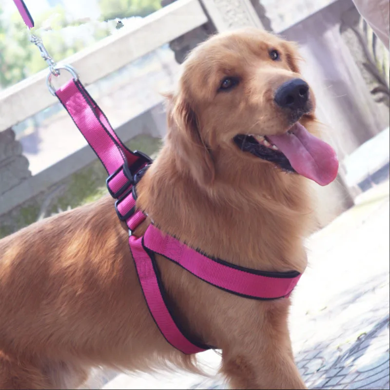 Nylon Dog Harnesses Comfortable Breathable Firm and Durable Pet