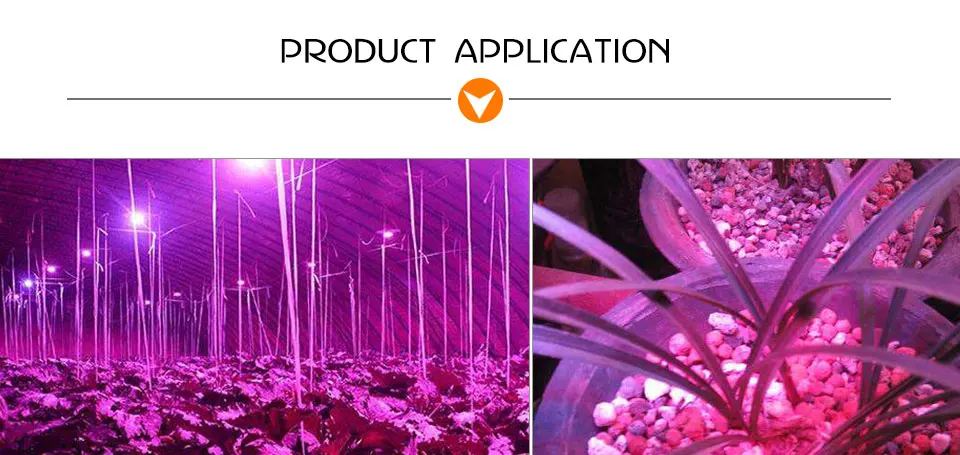grow led cob chip (14)