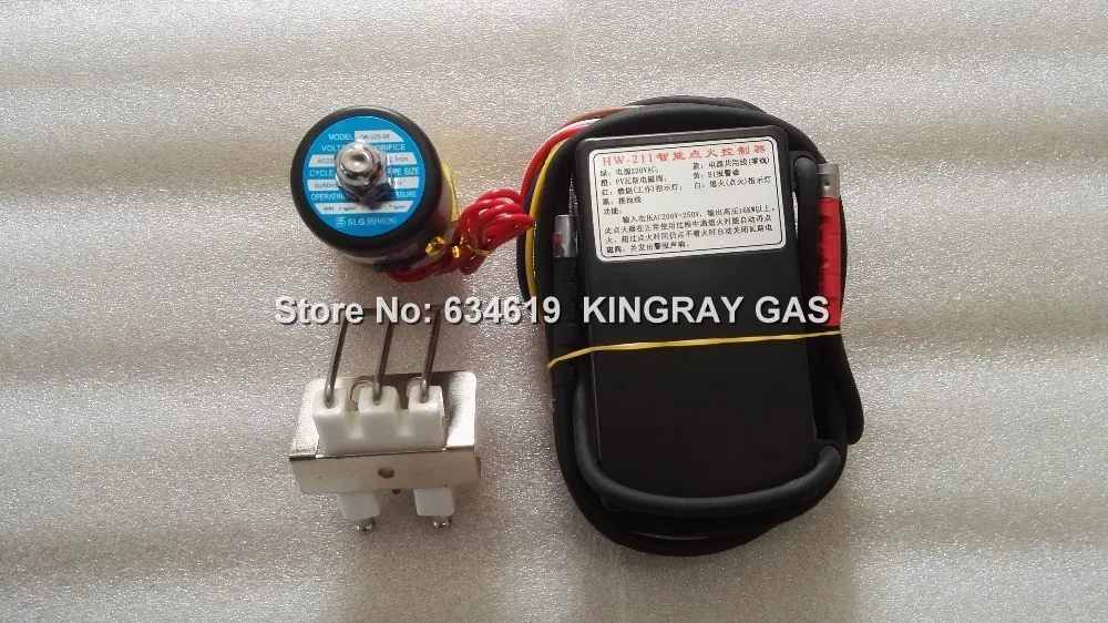220-240V Gas Ignition Control Unit With Sparking Ignitor&Solenoid Valve, Pulse Black Box Auto Gas Lighter Module For Oven gas ignition control unit