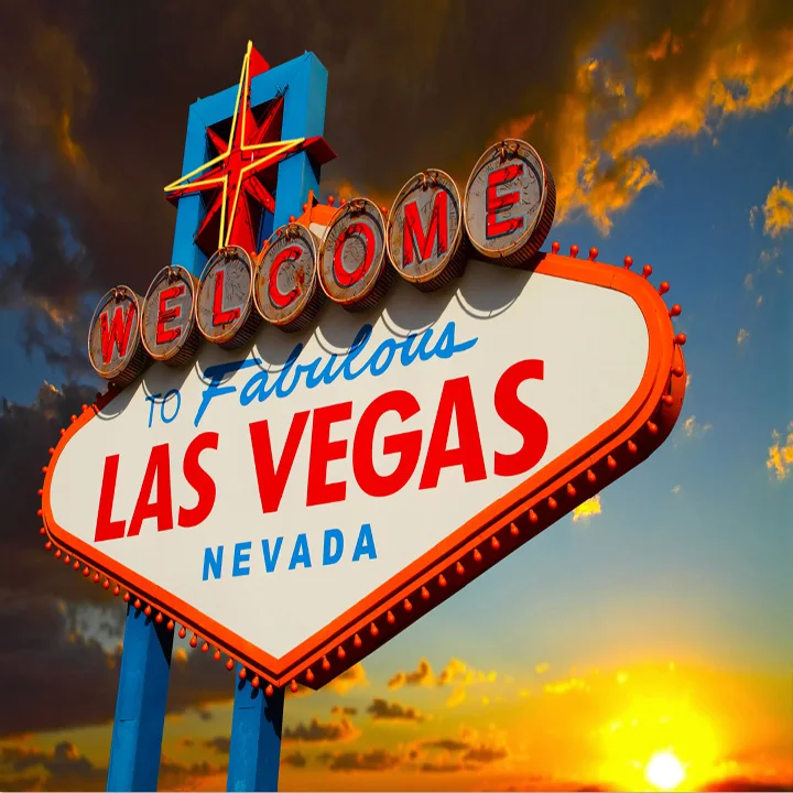 LFEEY 10x10ft Fabulous Las Vegas Back Drop City Night View Photography Backdrop American Famous Casino Photo Background Studio Prop LFEEY 10x10ft Fabulous Las Vegas Back Drop City Night View Photography Backdrop American Famous Casino Photo Background Studio Prop
